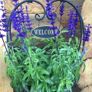 Meet your Posher, Bonny